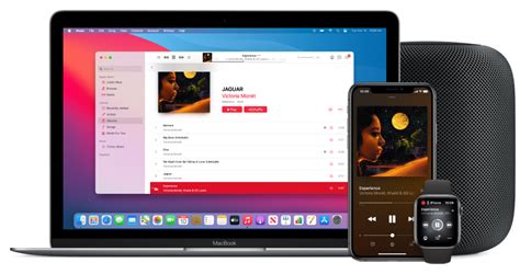 how to import music to apple music and explore the best practices for creating personalized playlists